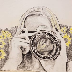 Sunflower Dreams. Charcoal drawing 11x15 paper